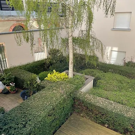 Apartment Grenier A Sel Hyper Centre Magnifique