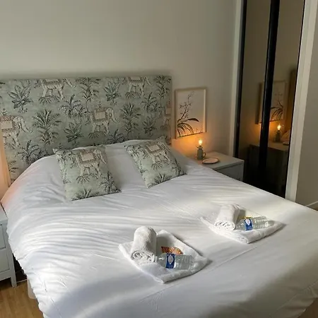 Grenier A Sel Hyper Centre Magnifique Apartment *