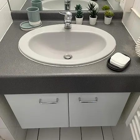 公寓 Grenier A Sel Hyper Centre Magnifique